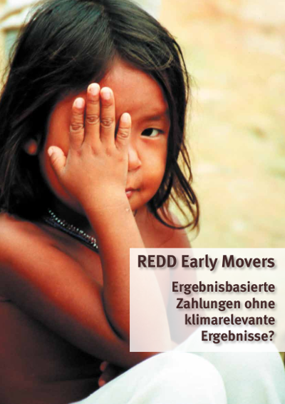 REDD Early Movers – Ergebnisbasierte Zahlungen ohne klimarelevante Ergebnisse?