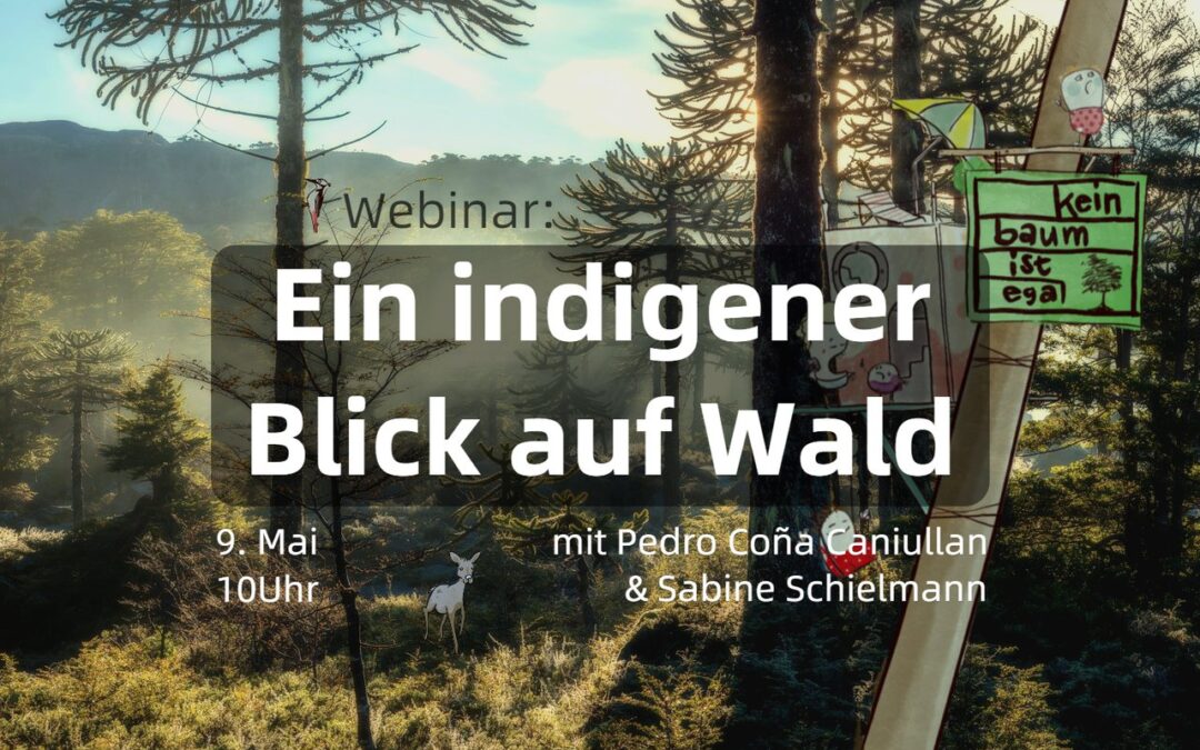 Online-Workshop: Ein indigener Blick auf Wald und Waldnutzung