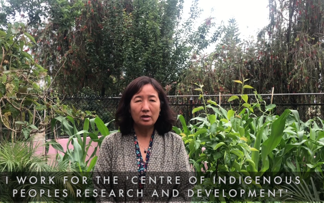 Rückblick auf die Online-Diskussion: ‚Indigenous Peoples and Climate Change‘
