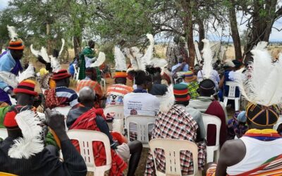 Kommunale Landnutzung und pastorale Landrechte in Karamoja