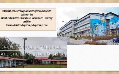 Ein Jahr Partnerschaft zwischen Schulen in Deutschland und Chile