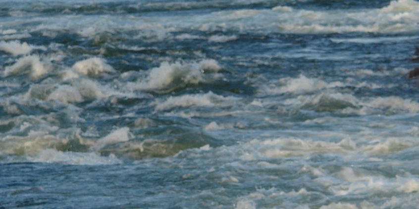 USA: Massiv gefährdete Lachspopulation: Streit um Rückbau der Staudämme am Snake River geht weiter