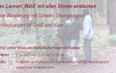 Den Lernort Wald mit allen Sinnen entdecken