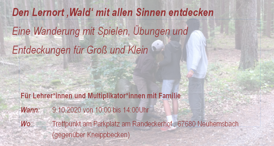 Den Lernort Wald mit allen Sinnen entdecken