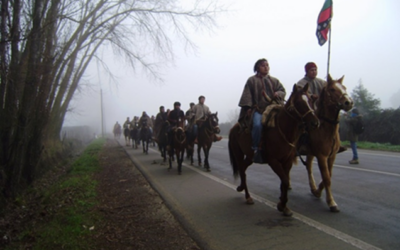 Caminos Indígenas: Mapuche Stimmen aus Argentinien und Chile