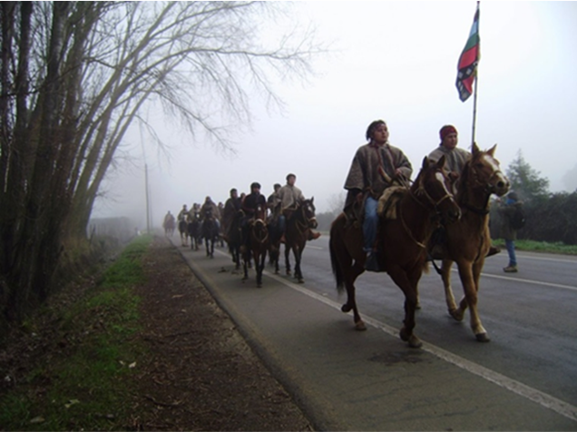 Caminos Indígenas: Mapuche Stimmen aus Argentinien und Chile