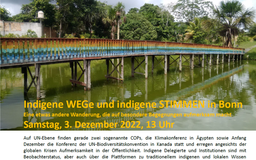 03.12.2022: Indigene Wege und indigene Simmen