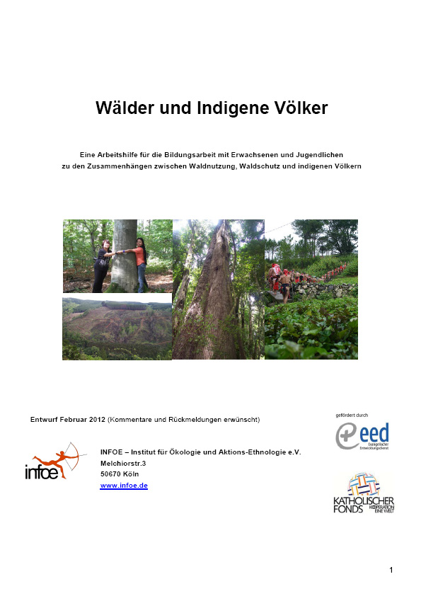 Arbeitshilfe: Wälder und Indigene Völker