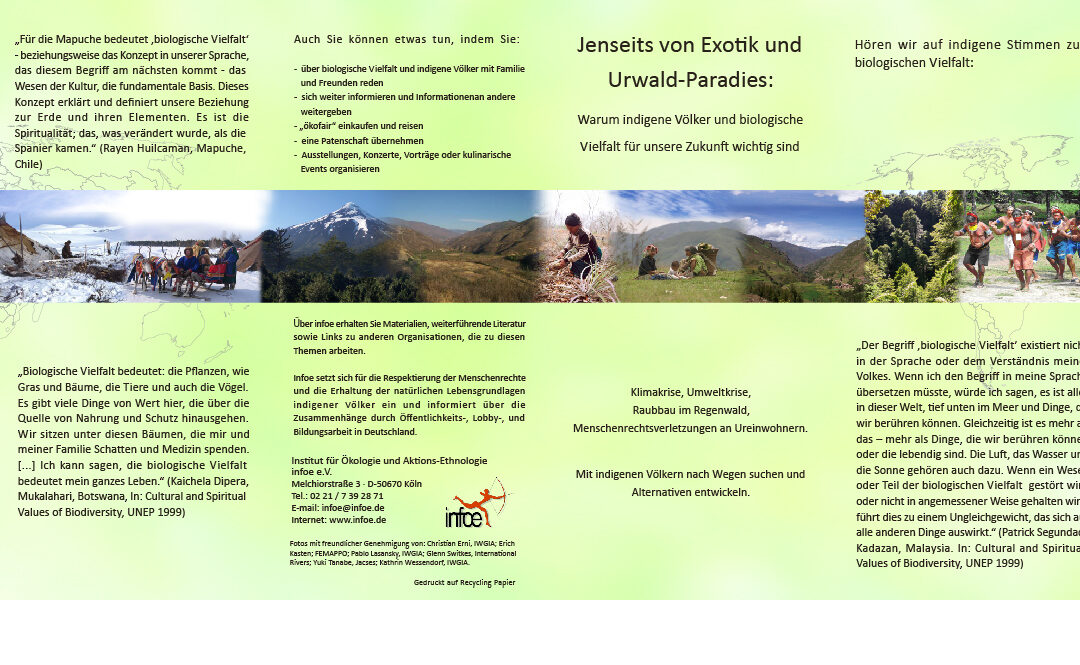 Flyer: Indigene Völker und Biodiversität