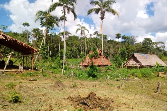 SDG 17: Maloka – Für Verständigung und Partnerschaft zwischen den Völkern in Amazonien und weltweit
