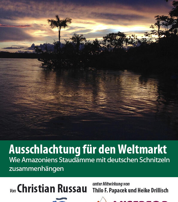 Broschüre: Ausschlachtung für den Weltmarkt – Wie Amazoniens Staudämme mit deutschen Schnitzeln zusammenhängen