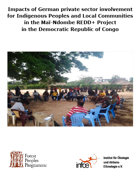 Fallstudie: Impacts of German private sector involvement for Indigenous Peoples and Local Communities in the Maï-Ndombe REDD+ Project in the Democratic Republic of Congo