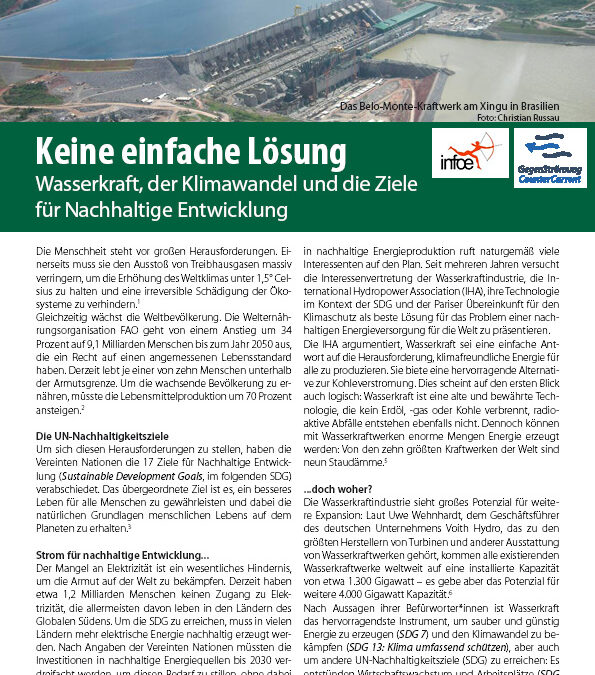 Factsheet: Keine einfache Lösung – Wasserkraft, der Klimawandel und die Ziele für Nachhaltige Entwicklung