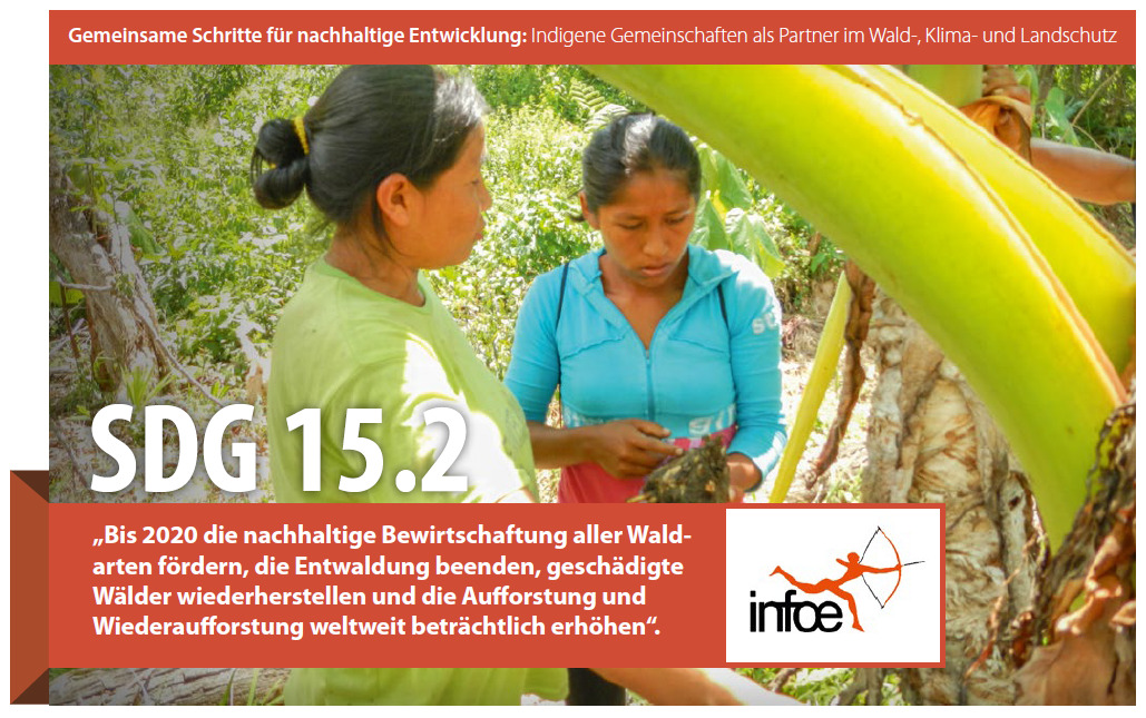 Factsheet SDG 15.2 (Englisch)